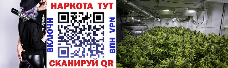 Купить A PVP  Меф  ГАШ  Кокаин  Салехард