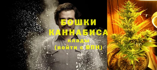 сатива Инсар