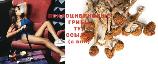 гашиш Каменка