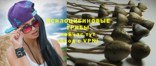 гашиш Каменка