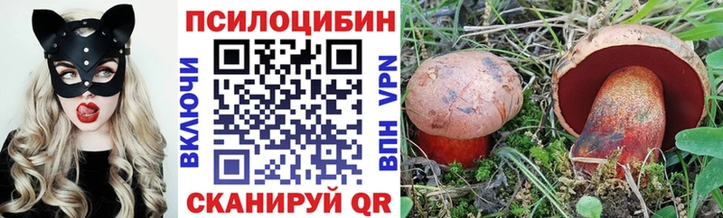 Галлюциногенные грибы MAGIC MUSHROOMS Купить где Салехард